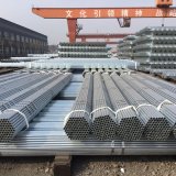 Hot DIP Galvanized Steel Pipe for High Quality Greenhouse